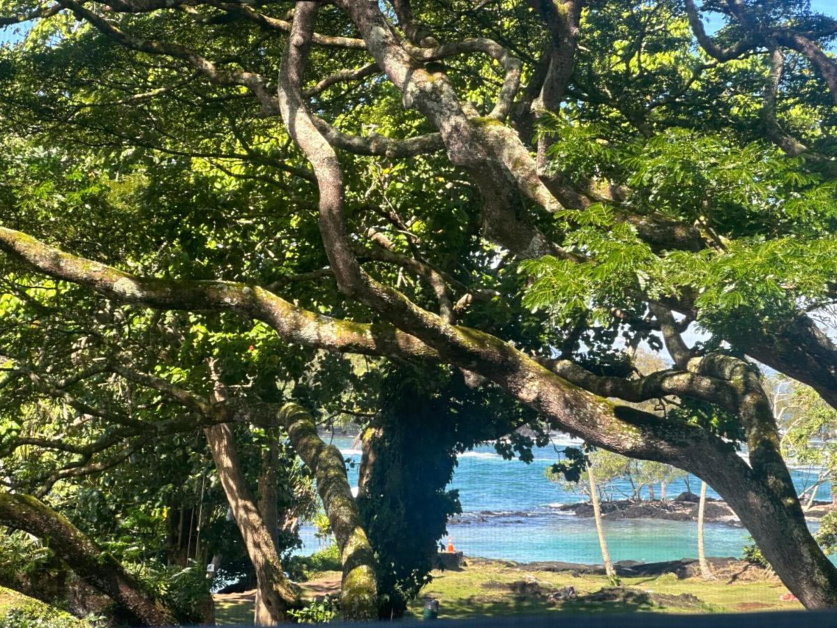 Ocean View Mauna Loa Shores Kai Ekahi #201 Next To Carlsmith Beach Park Hilo Hi Εξωτερικό φωτογραφία