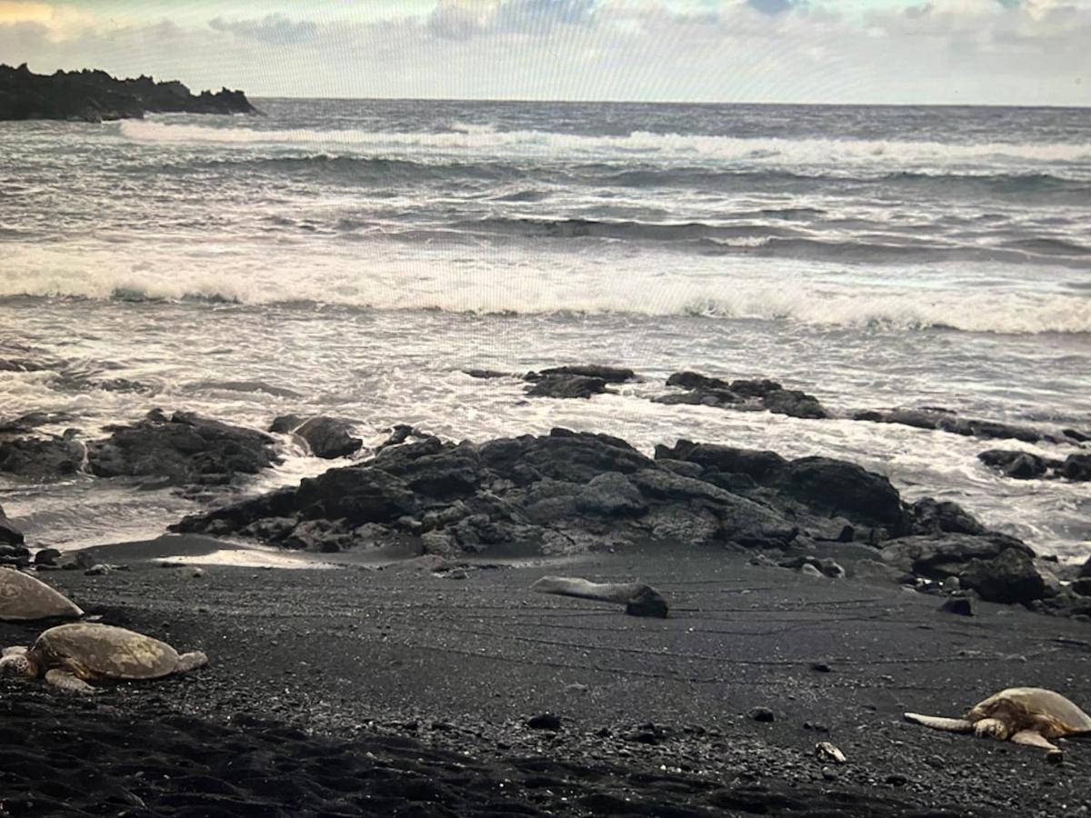 Ocean View Mauna Loa Shores Kai Ekahi #201 Next To Carlsmith Beach Park Hilo Hi Εξωτερικό φωτογραφία
