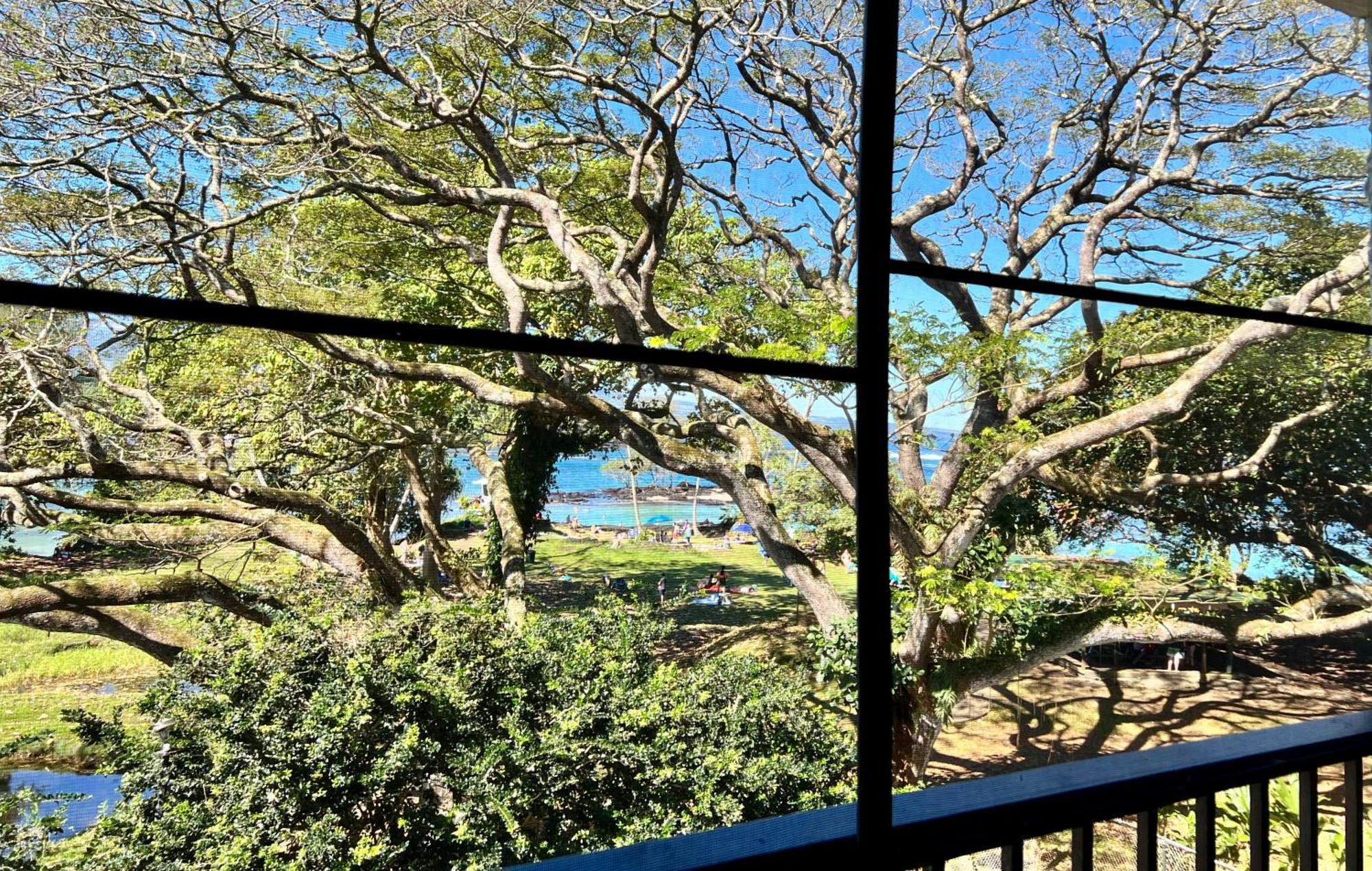 Ocean View Mauna Loa Shores Kai Ekahi #201 Next To Carlsmith Beach Park Hilo Hi Εξωτερικό φωτογραφία