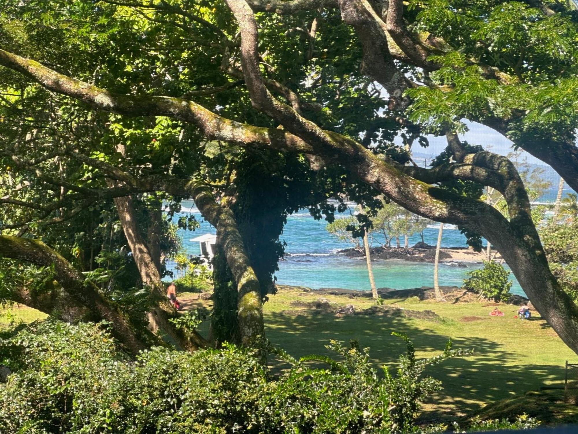 Ocean View Mauna Loa Shores Kai Ekahi #201 Next To Carlsmith Beach Park Hilo Hi Εξωτερικό φωτογραφία